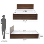 Nilkamal Arthur Neo King Size Bed with Box Storage| Engineered Wood Bed | 1 Year Warranty |Contemporary Design