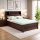 walnut