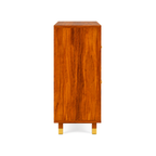 Luxury Wooden Shoe Rack Cabinet in Walnut Finish | Entryway Storage Unit
